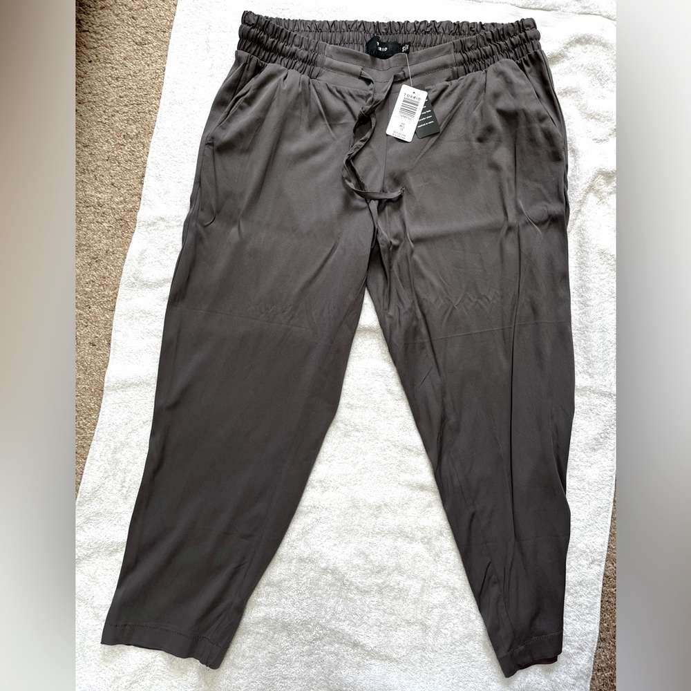Torrid Pants